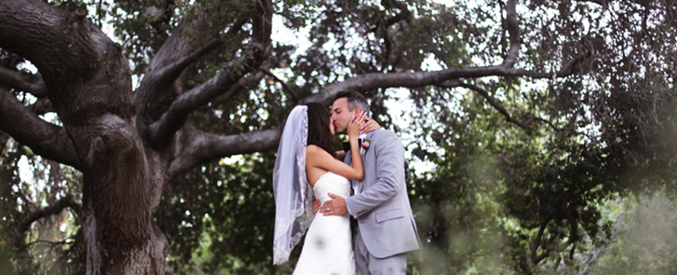 Married couple kissing in front of old tree